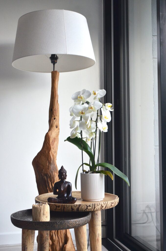 orchid ceramic indoor pot